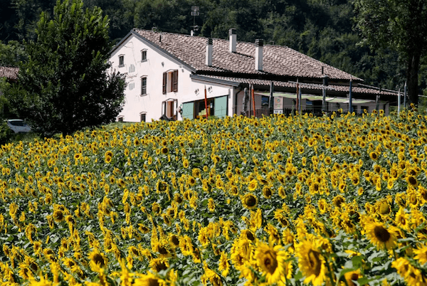 Immagine di copertina del ristorante Locanda La Fornace