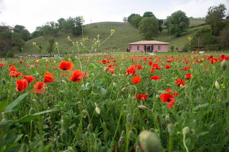 Immagine di copertina del ristorante Ristorante Agrituristico Il Giardino Segreto Tarano