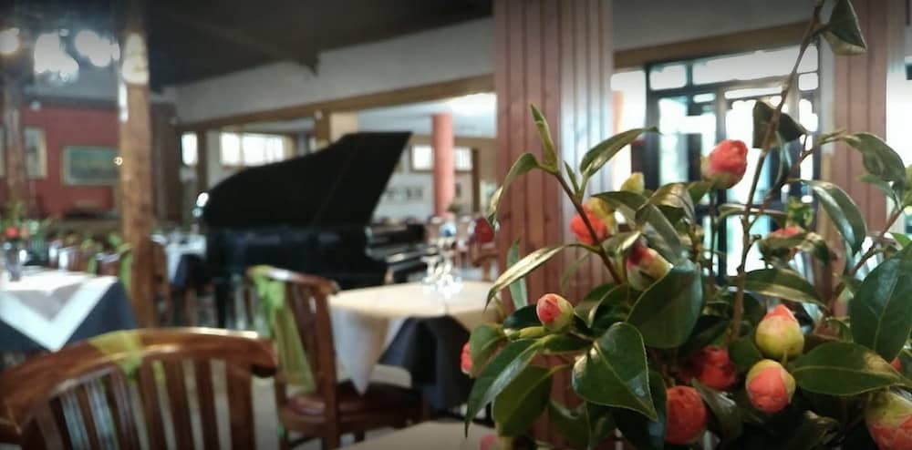 Immagine di copertina del ristorante La Casina delle Rose - da Omero 