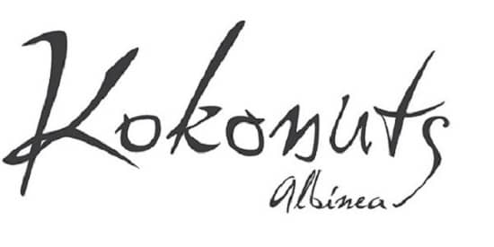 Immagine di copertina del ristorante KOKONUTS ALBINEA
