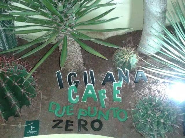 Immagine di copertina del ristorante Iguana café 