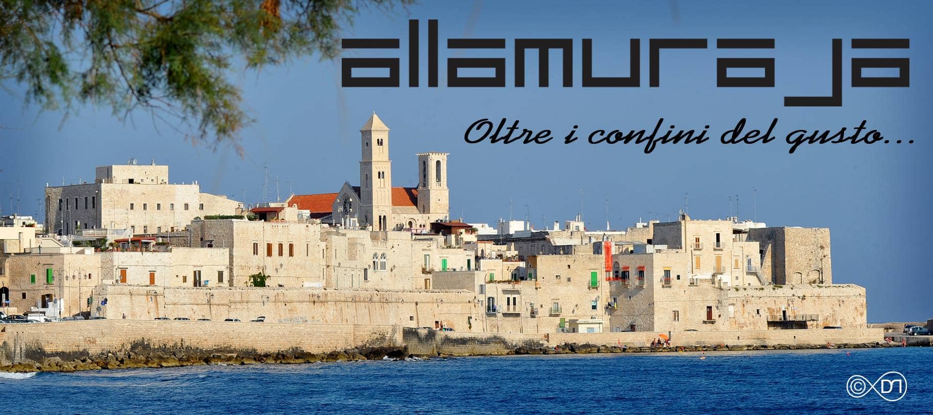 Immagine di copertina del ristorante ALLAMURAJA