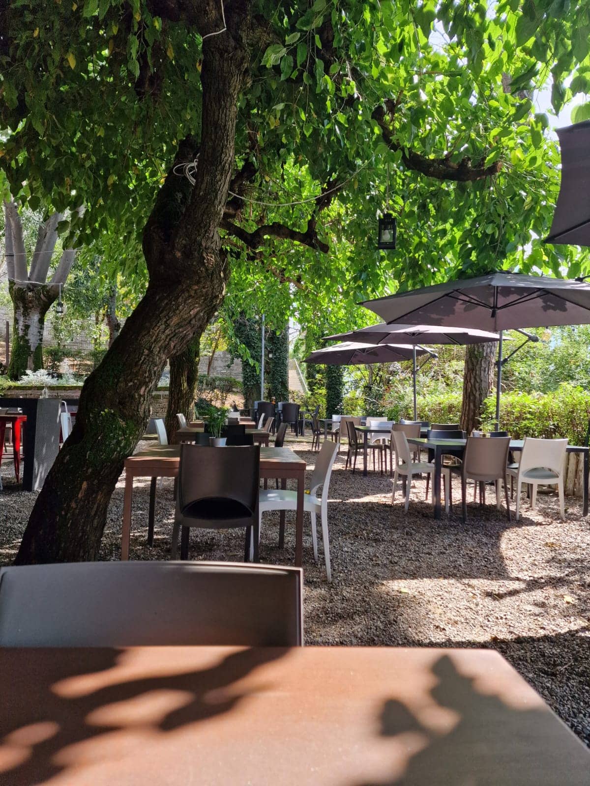Immagine di copertina del ristorante MOMA