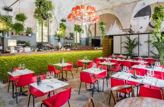 Immagine di copertina del ristorante L'OV - OSTERIA VEGETARIANA