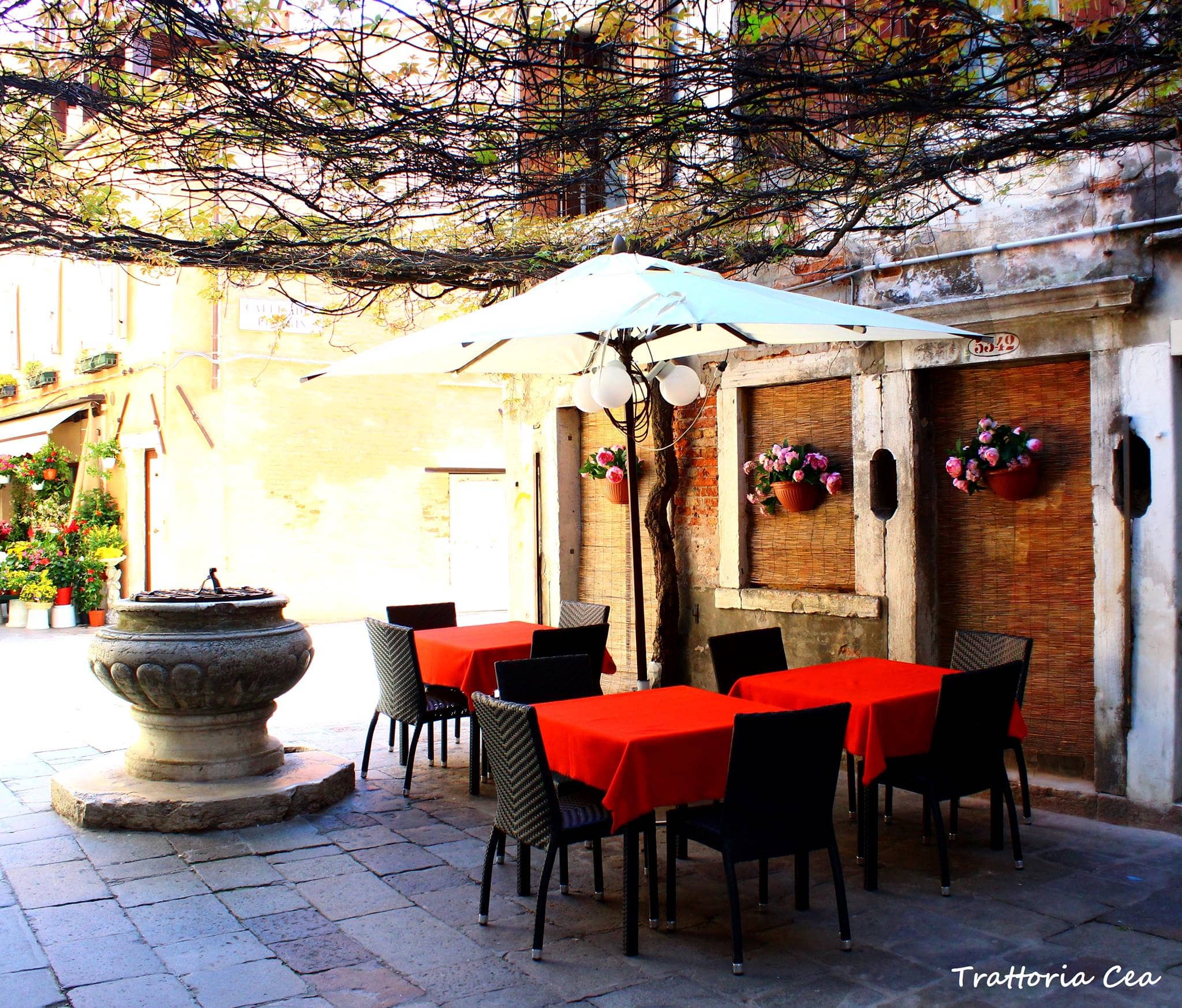 Immagine di copertina del ristorante Trattoria Cea