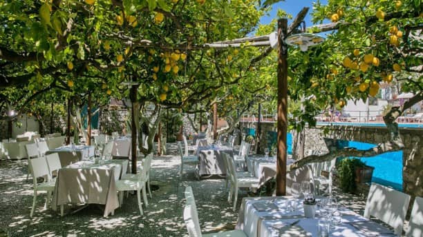 Immagine di copertina del ristorante La Limonaia