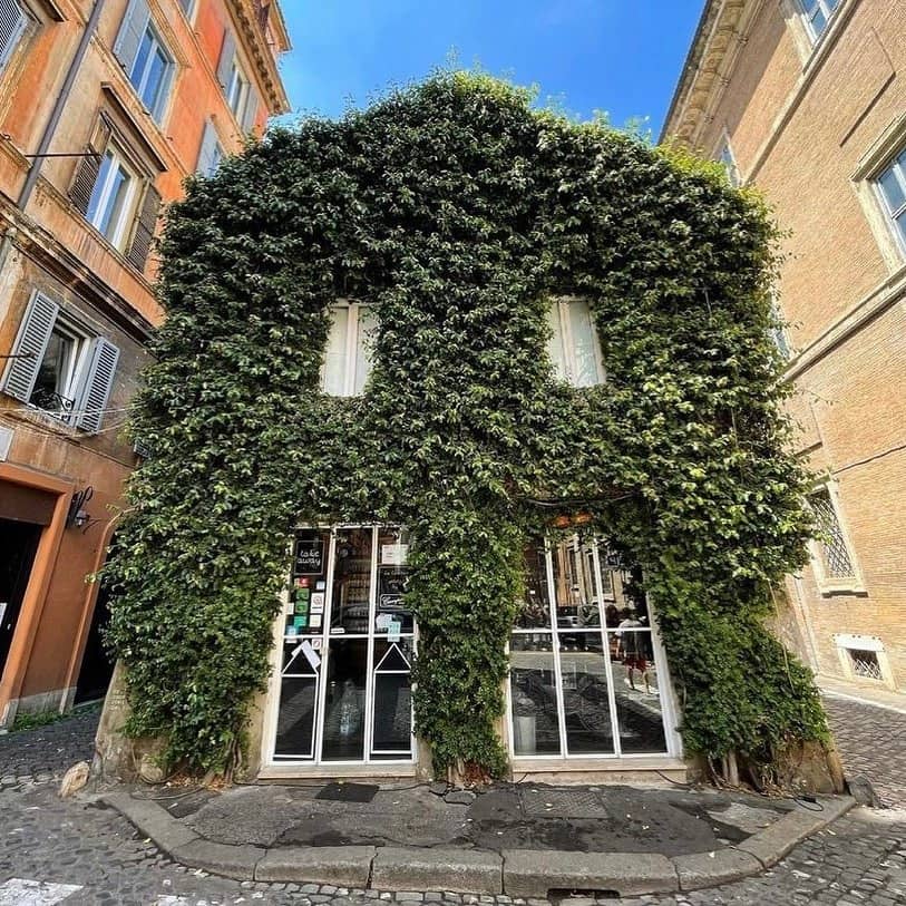 Immagine di copertina del ristorante La Casetta a Monti
