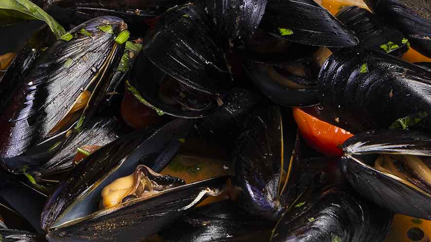 Ristoranti Pesce