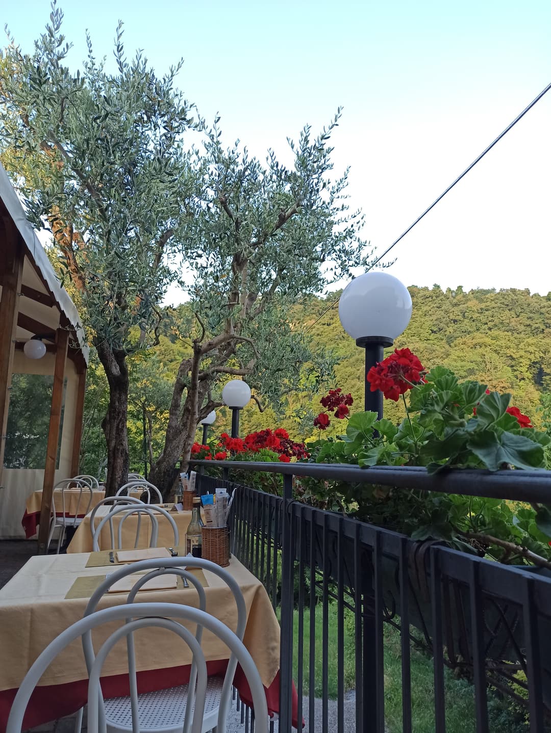 Immagine di copertina del ristorante Pizzeria Trattoria La Lasagna