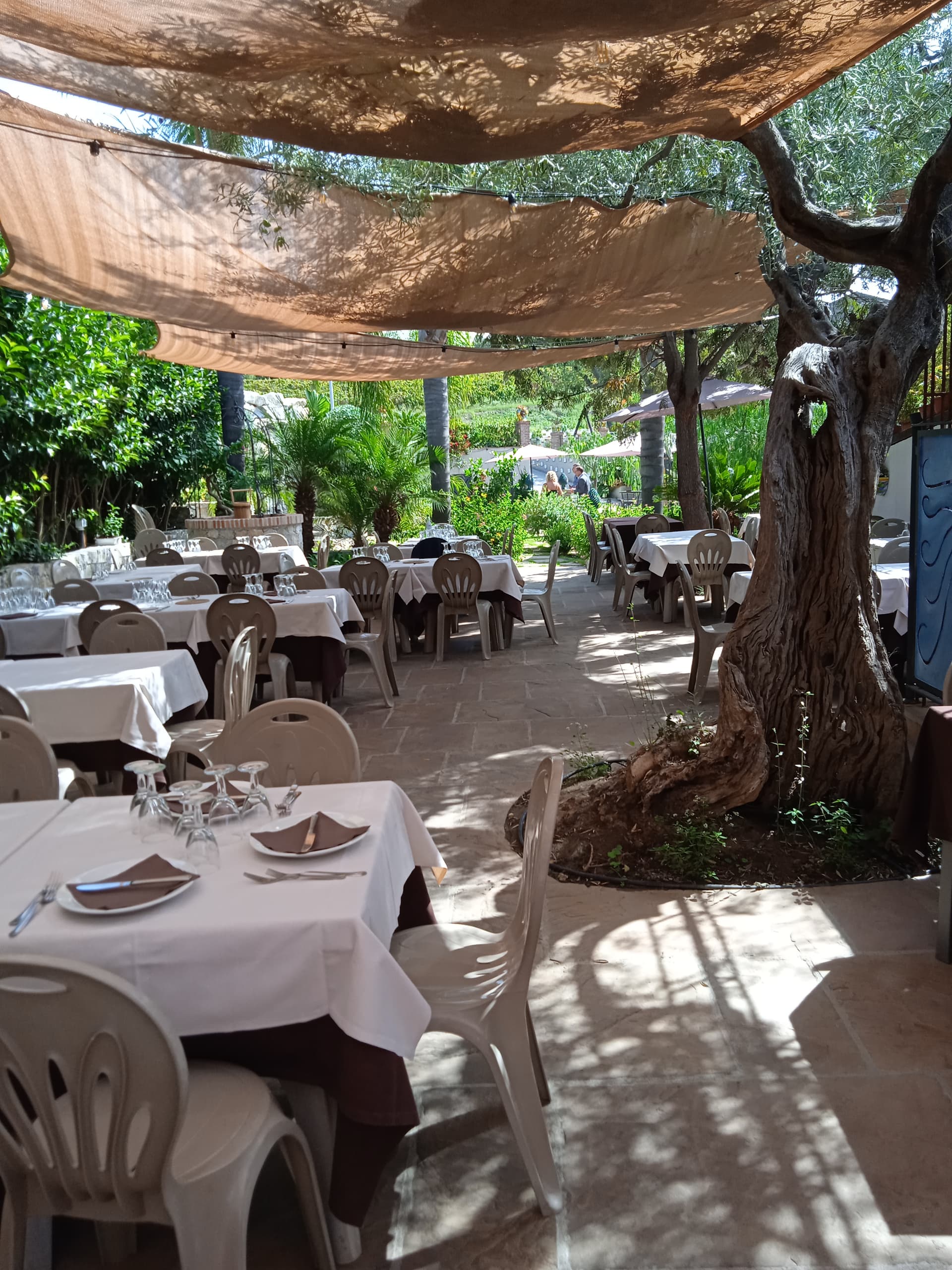 Immagine di copertina del ristorante trattoria Pizzeria La Pergola
