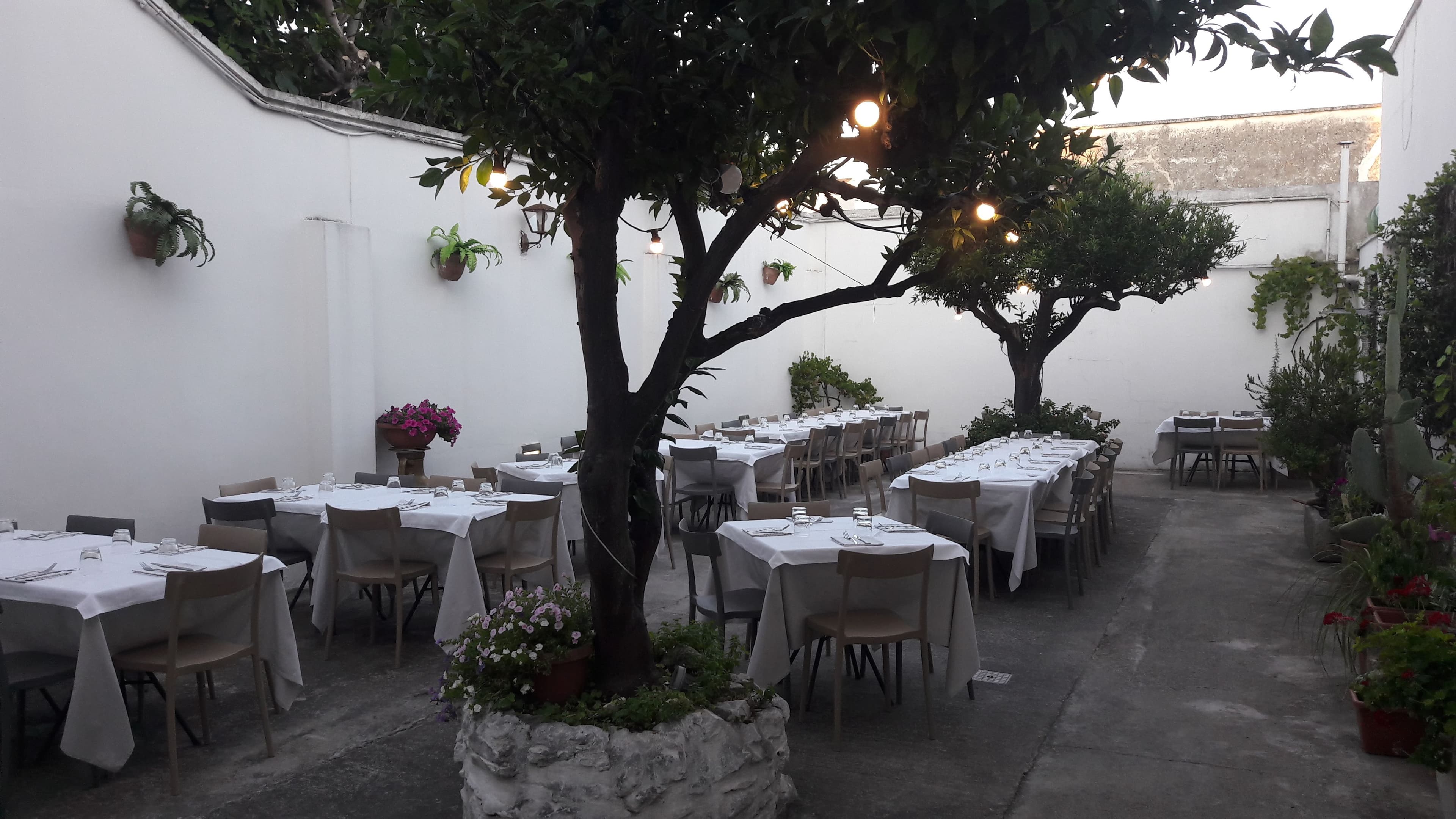 Baccanera - Ristorante a Campi Salentina