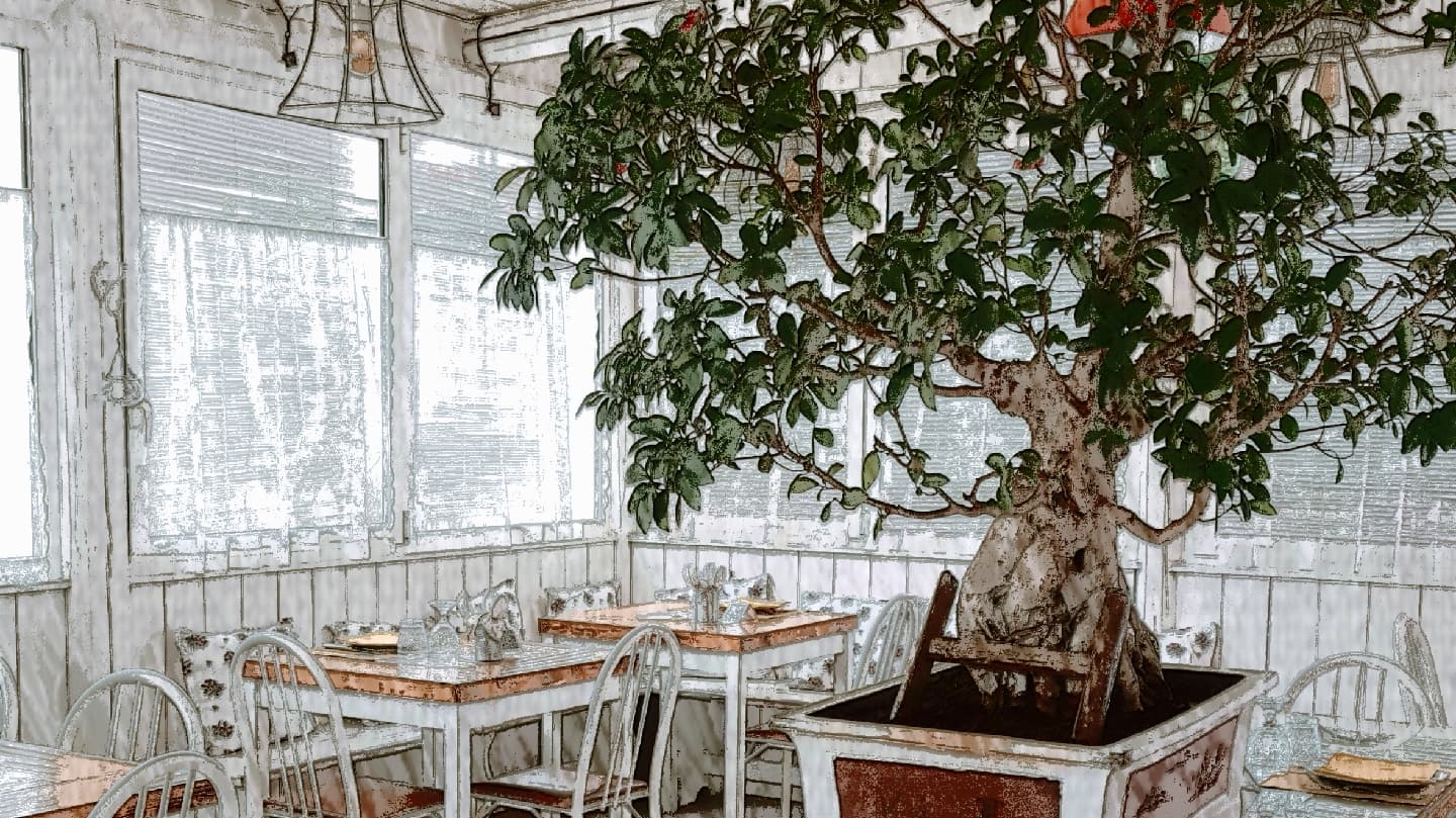 Cesarino 36 - Ristorante a Castellana Grotte