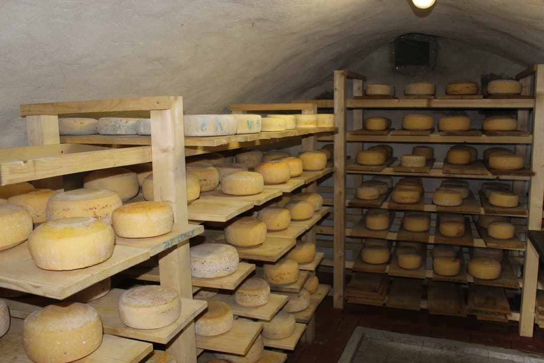Immagine di copertina del ristorante Hofschank Brandhof