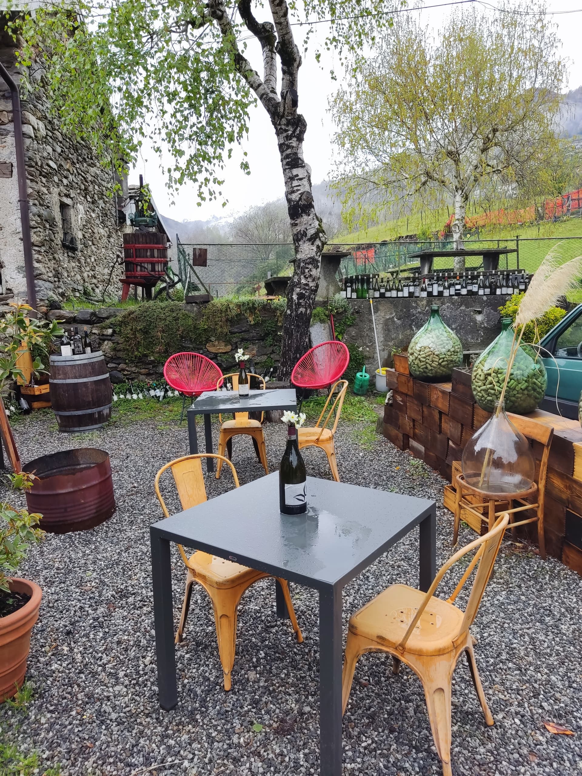 Immagine di copertina del ristorante Aquila d'Oro Osteria Enoteca Bar di Bossio Plinio