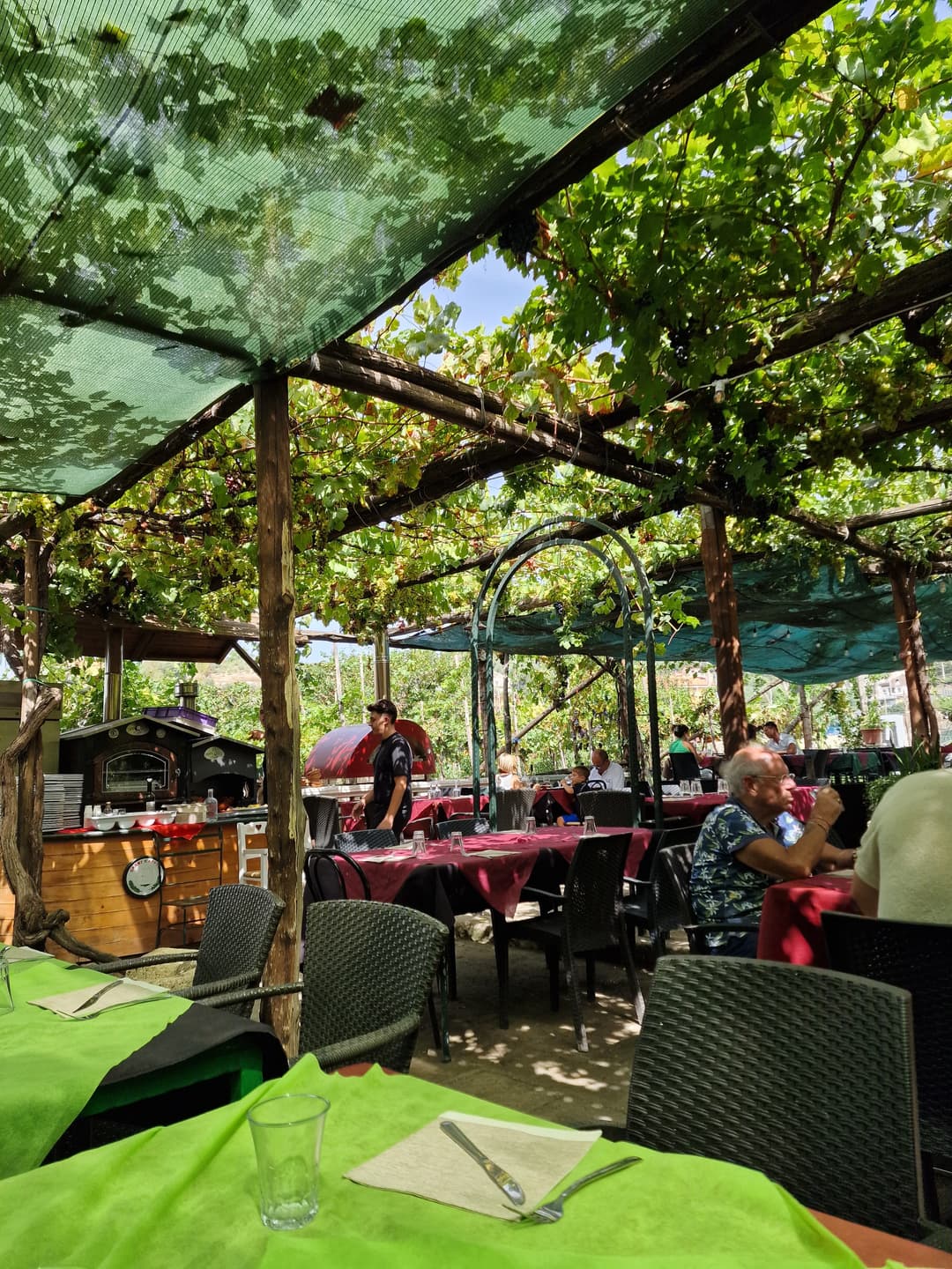 Immagine di copertina del ristorante Agriturismo Il Vigneto - Società Agricola