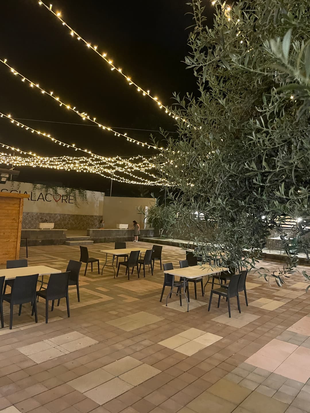 Immagine di copertina del ristorante Scialacore