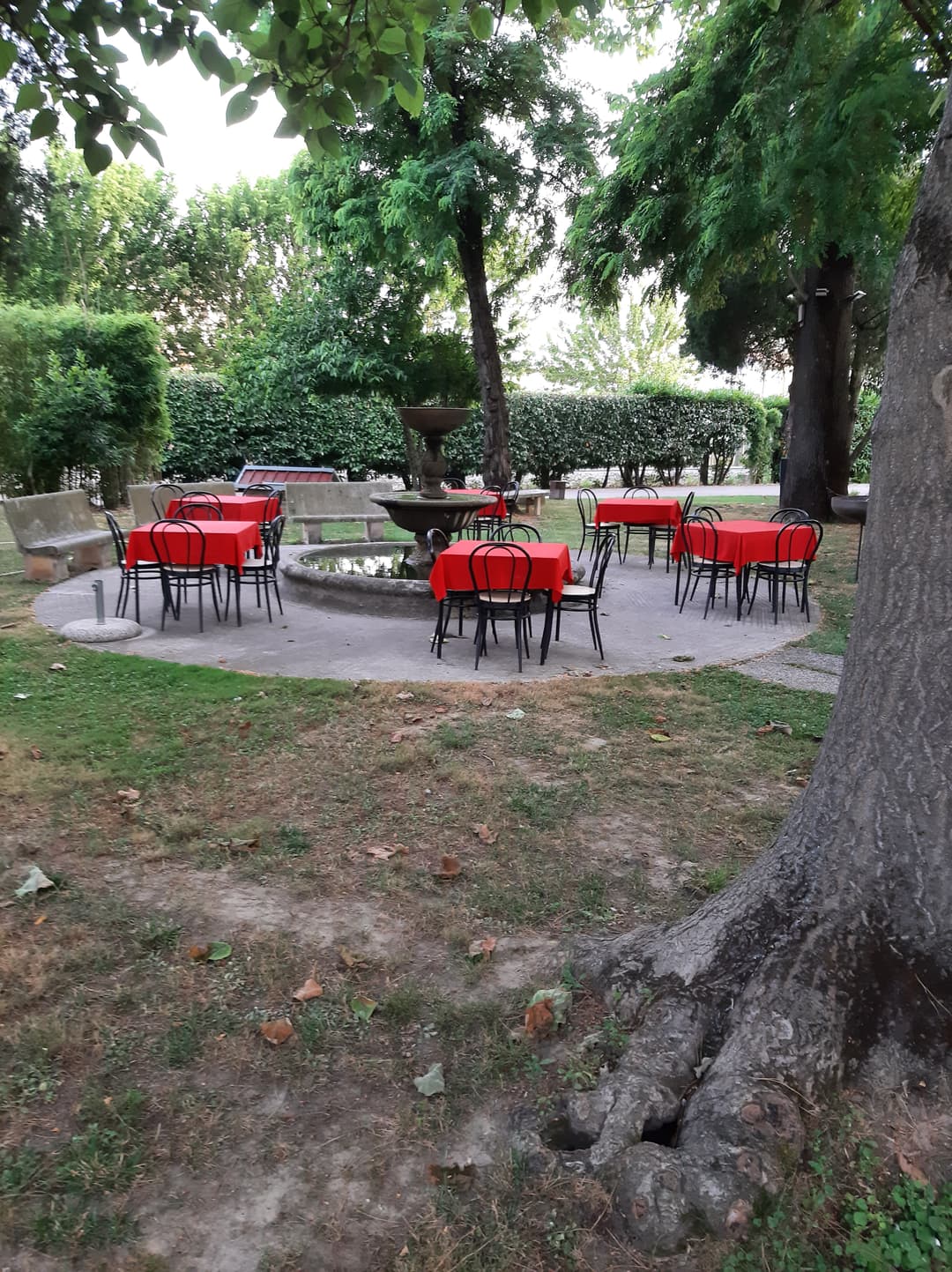 Immagine di copertina del ristorante Ristorante Pizzeria Ca Rosa Di Sarti Carlina Ic Sas