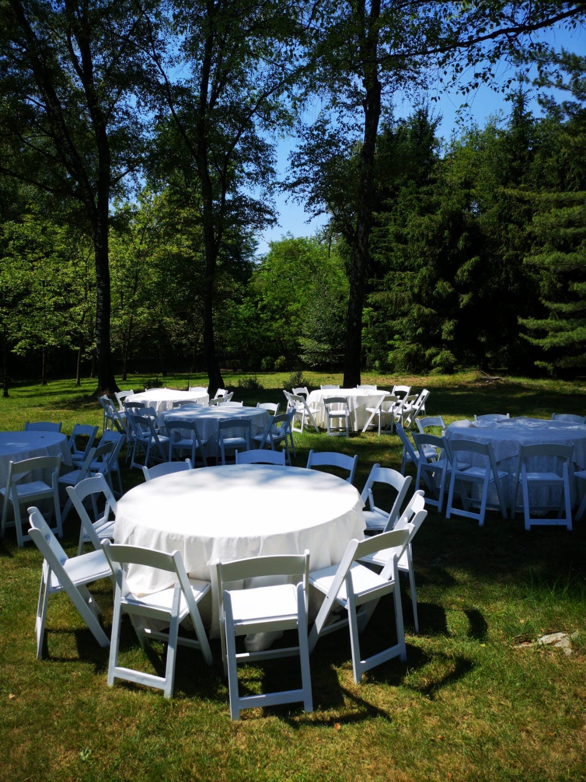 Hotel Ristorante Le Betulle S.a.S. Di Ferrari Elena - Ristorante a San Maurizio d'Opaglio