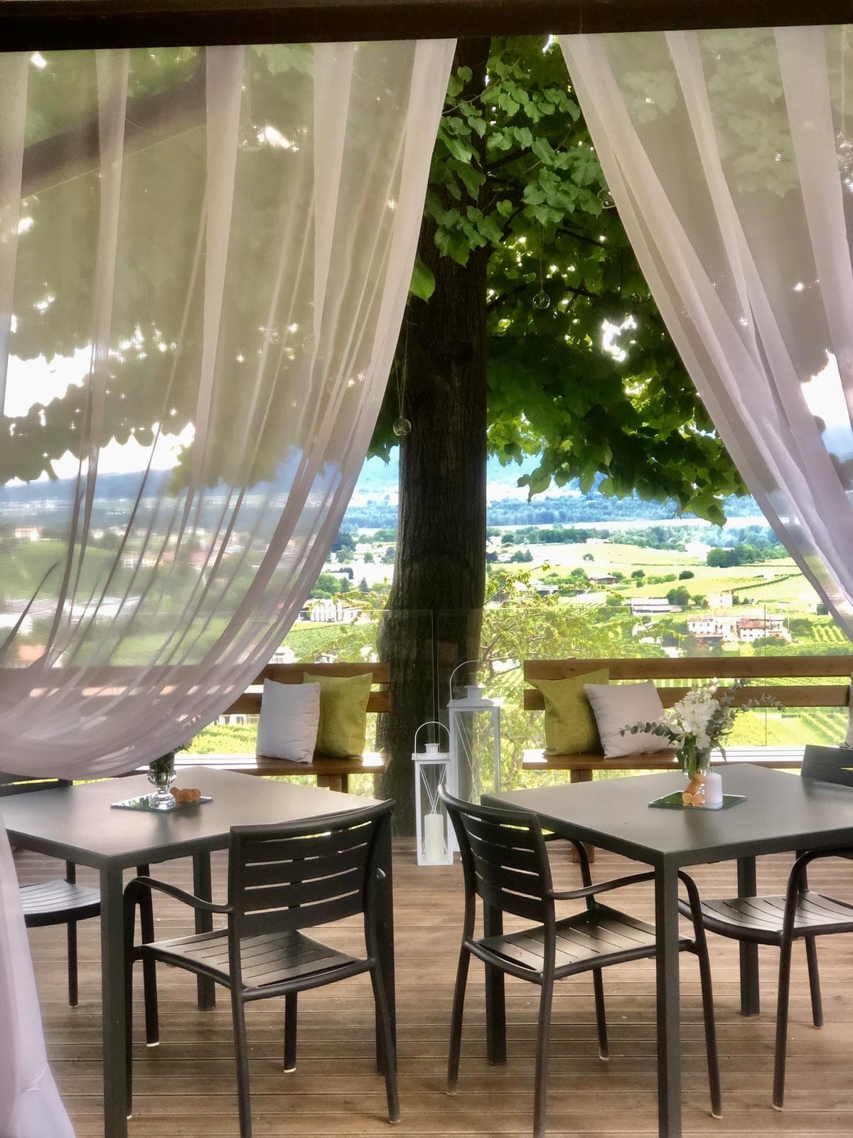 Immagine di copertina del ristorante Trattoria alla Cima