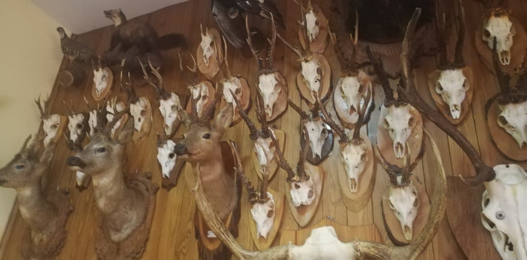 Immagine di copertina del ristorante Trattoria Il Cacciatore