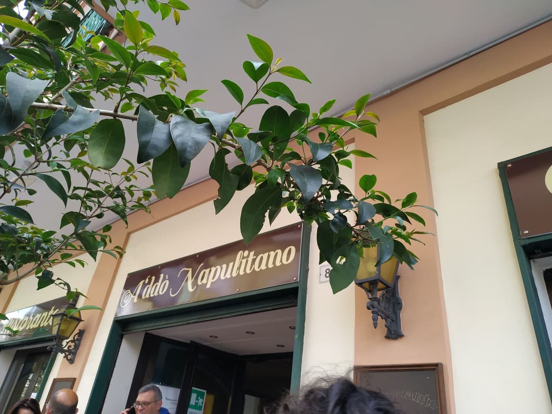 Immagine di copertina del ristorante Ristorante e Pizzeria A'ddò Napulitano di Marino Cosimo