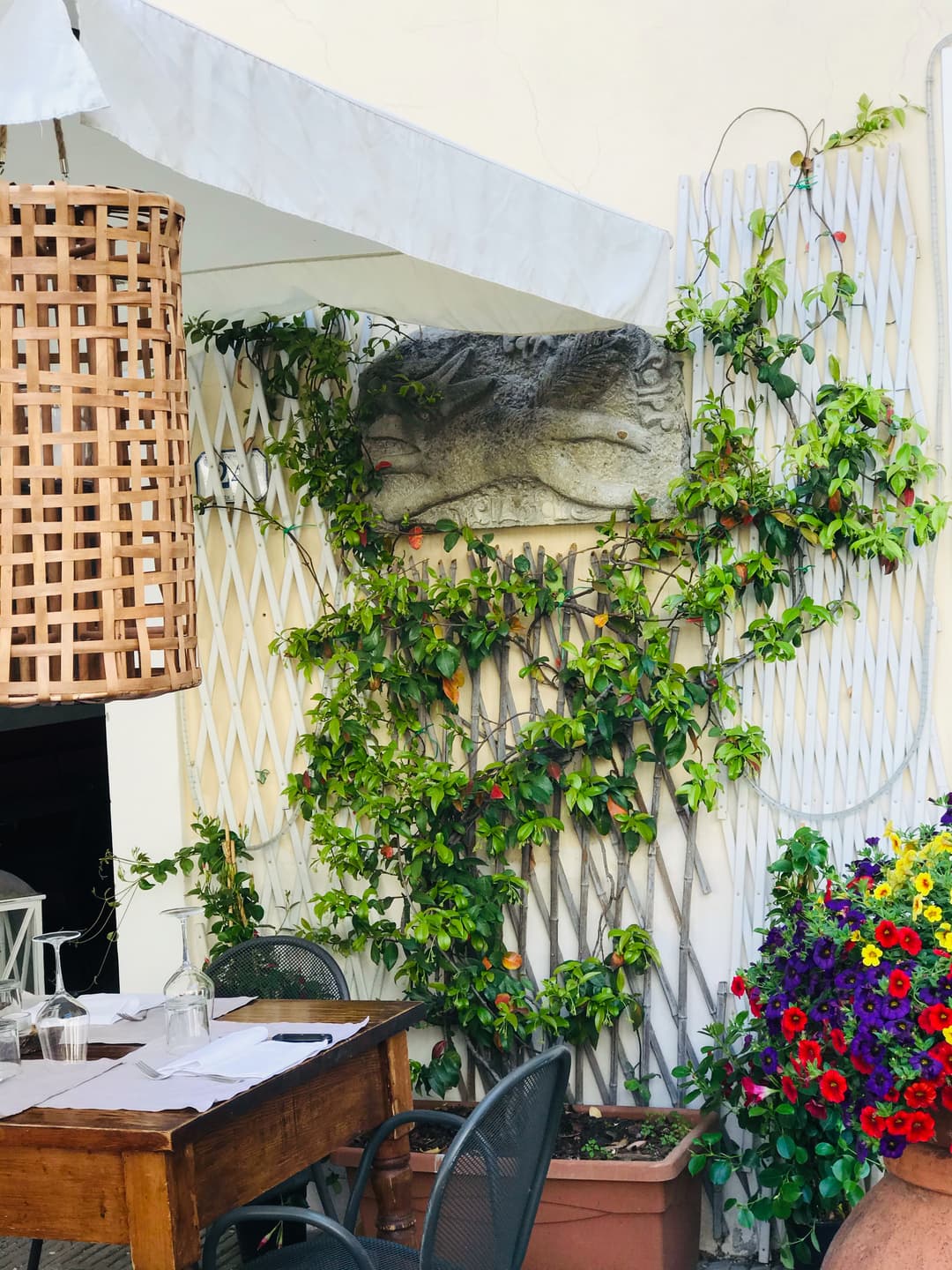 Immagine di copertina del ristorante Volpe