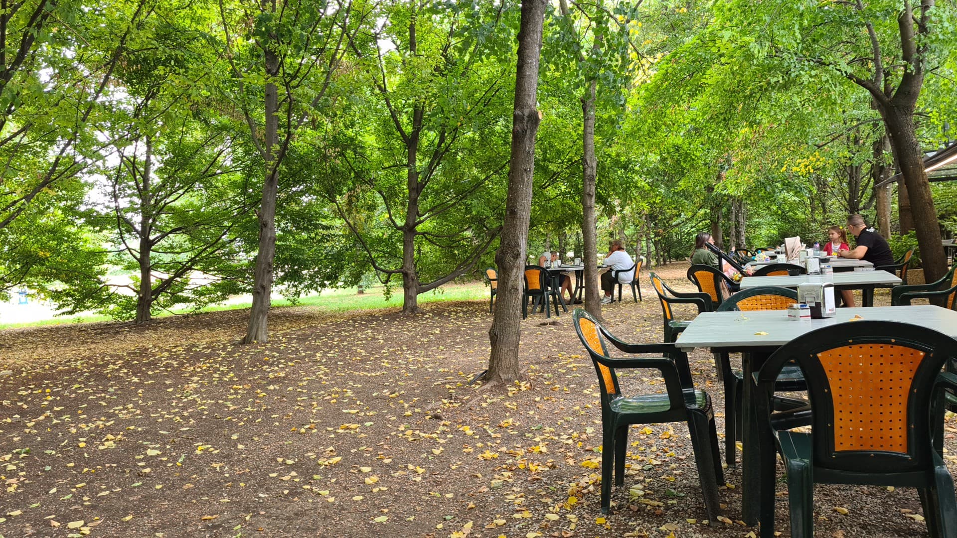 Insolito Bar - Ristorante a Modena