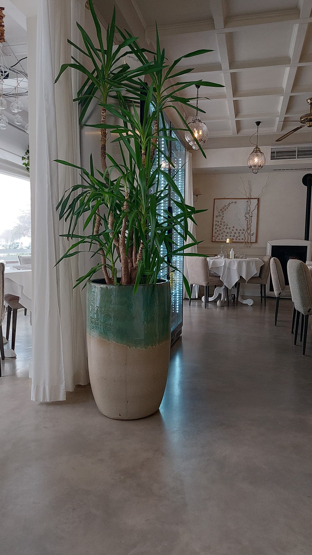 Immagine di copertina del ristorante Ristorante da Buso