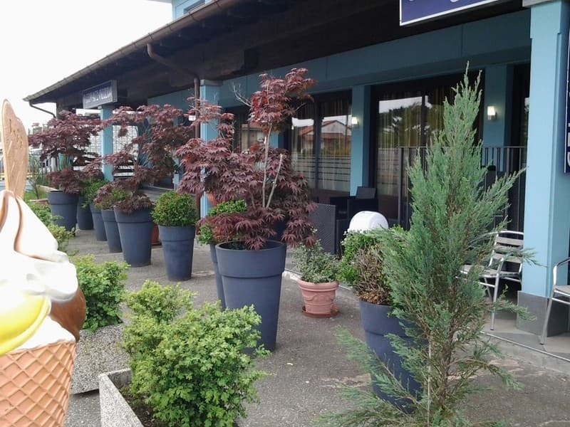 Ristorante Pizzeria Amici Miei - Ristorante a Fontaneto d'Agogna