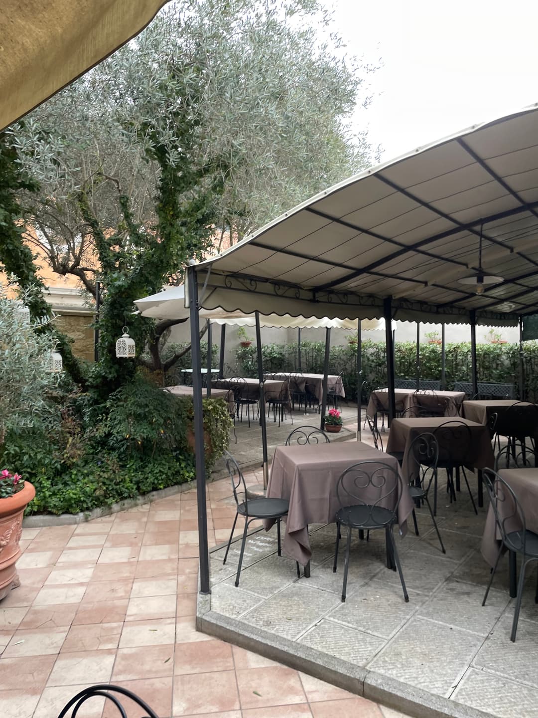 Immagine di copertina del ristorante Trattoria Il Turista | Pisa