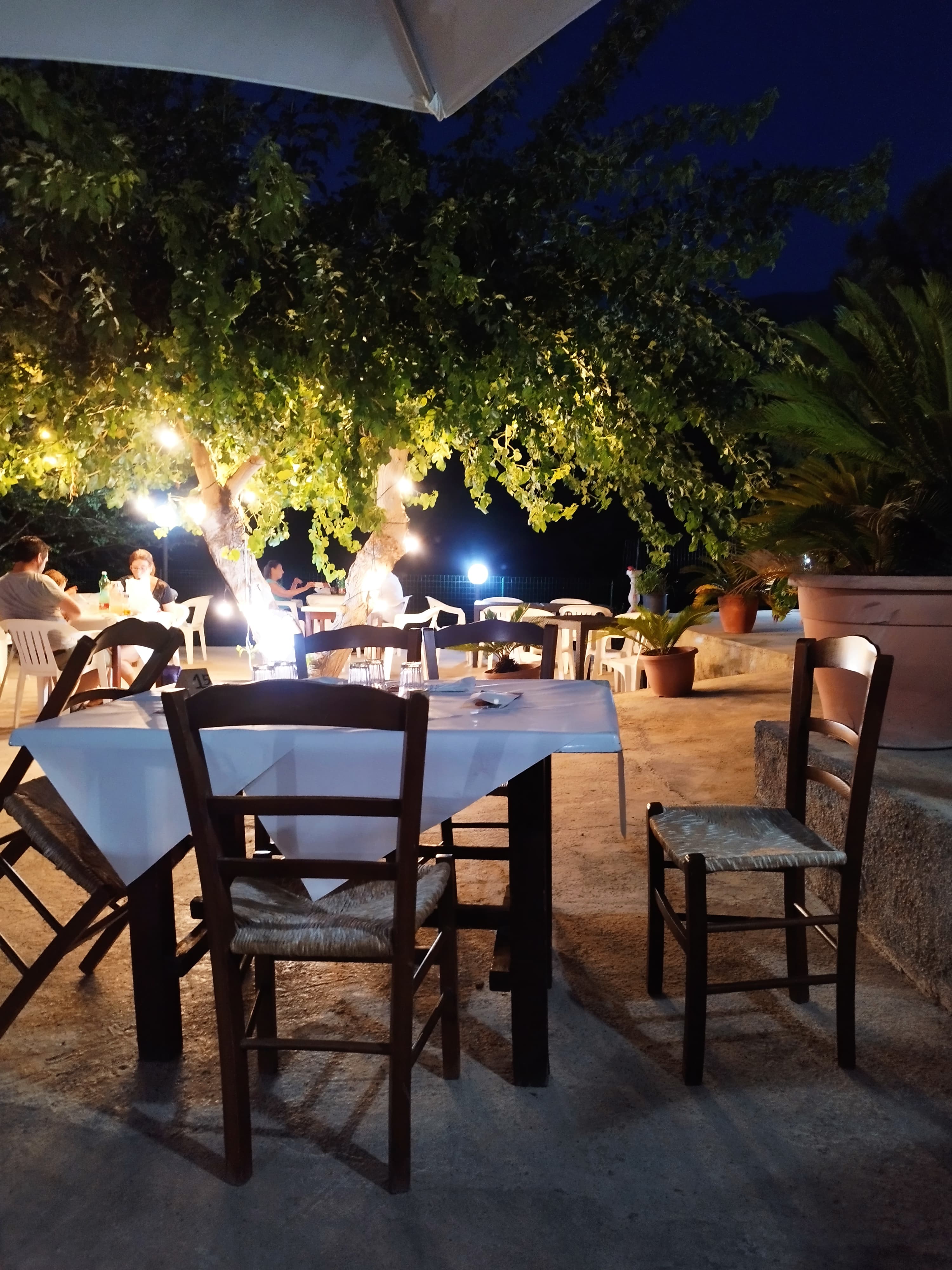 Trattoria da Nino - Ristorante a San Nicola Arcella