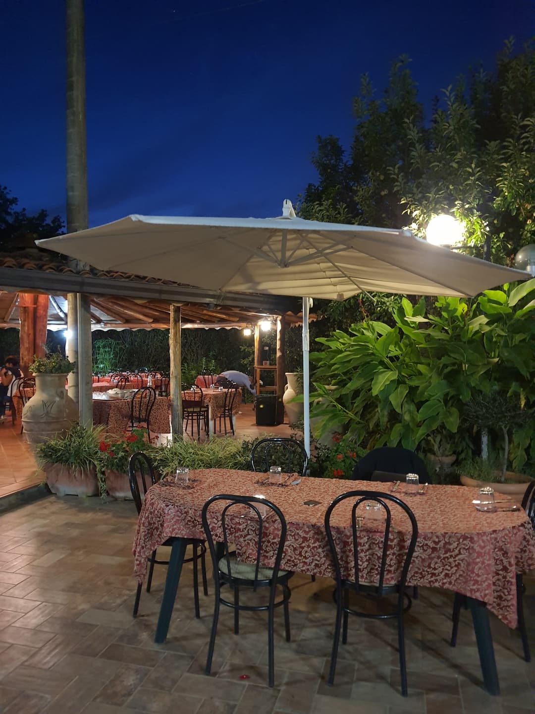 Immagine di copertina del ristorante Trattoria La Pergolata