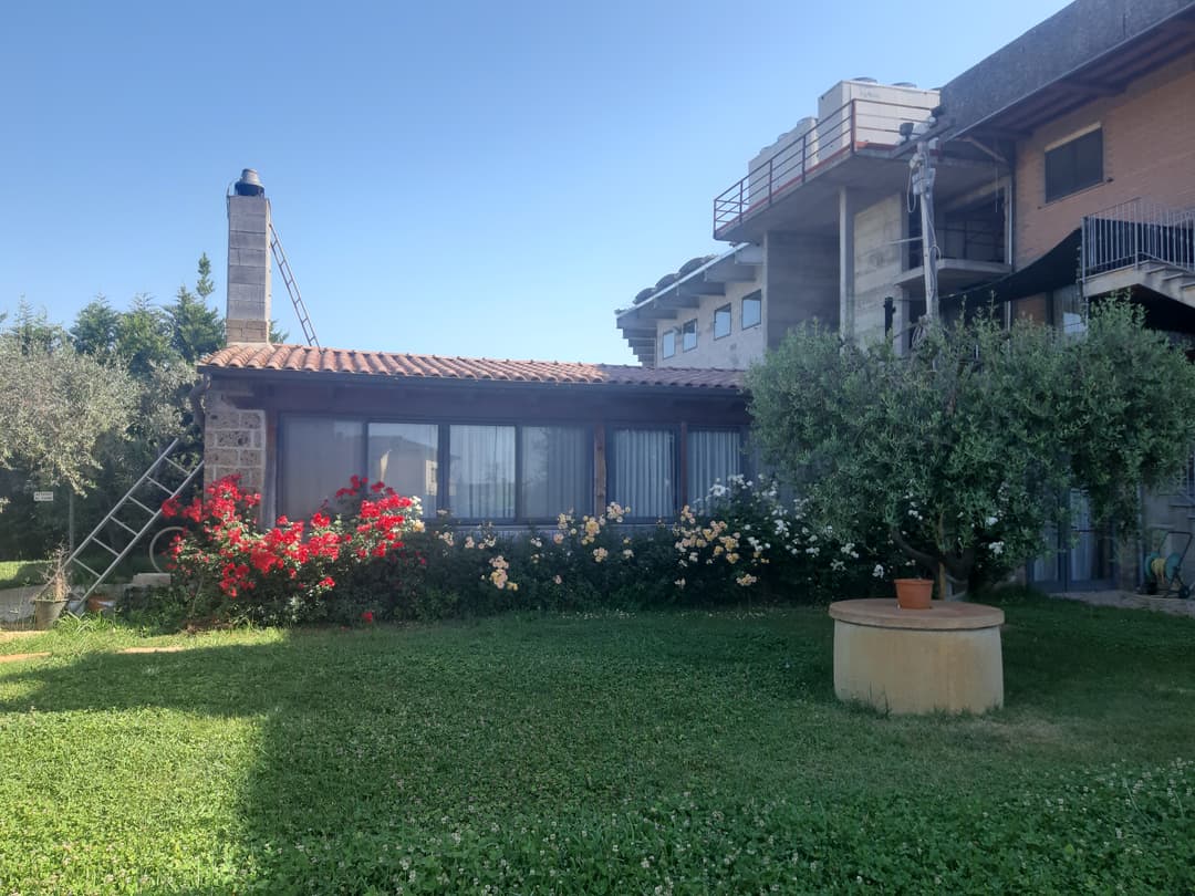 Immagine di copertina del ristorante Il Patino