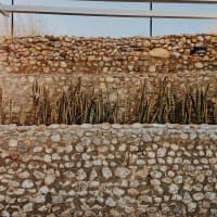Foto ristorante Nuez