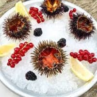 Foto ristorante Shilling