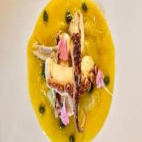 Foto ristorante VIVO Vincenzo Vottero Taste Lab