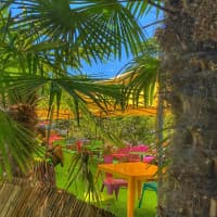 Foto ristorante Babar