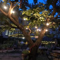 Il Giardino - Vino e Cucina, foto 1