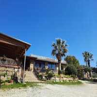Foto ristorante La Fattoria