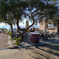 Foto ristorante Pappagallo Beach