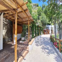 Foto ristorante Baccofurore