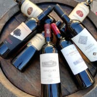 L'Antica Vineria, foto 1