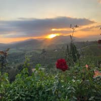 Trattoria La Torre Da Carla, foto 4