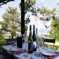 Tenuta La Pazzaglia, foto 2