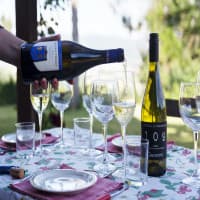Tenuta La Pazzaglia, foto 3