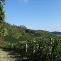 Tenuta La Pazzaglia, foto 1