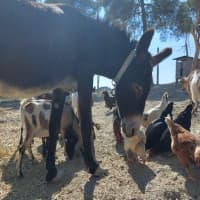 Campo Al Quattrino, foto 1