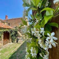 Antico Borgo Buonanotte, foto 4