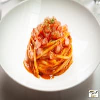 Sughero , foto 3