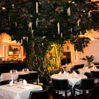  Mila Osteria Contemporanea (Sharivari), foto 2